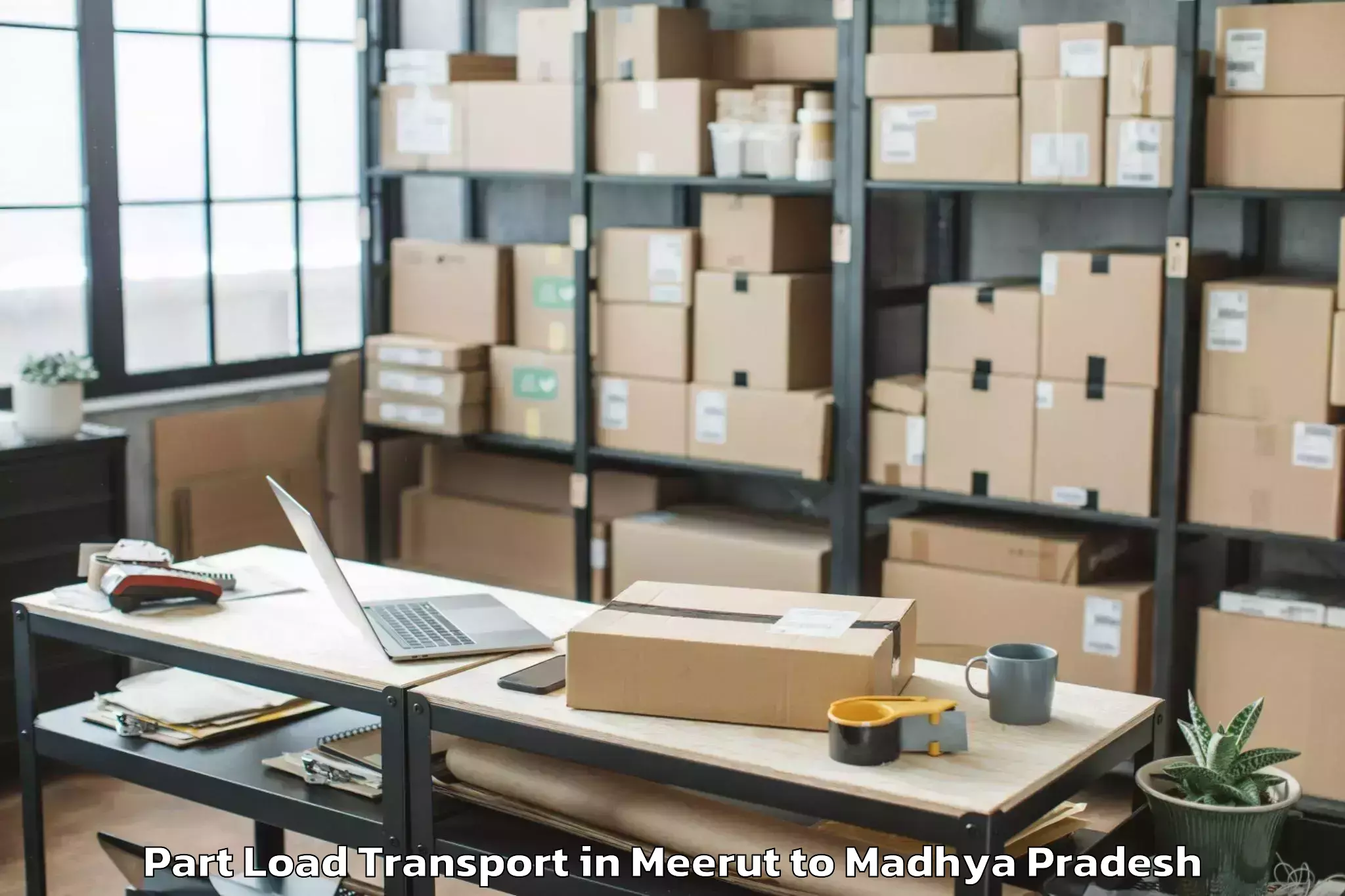 Book Meerut to Abhilashi University Satna Part Load Transport Online